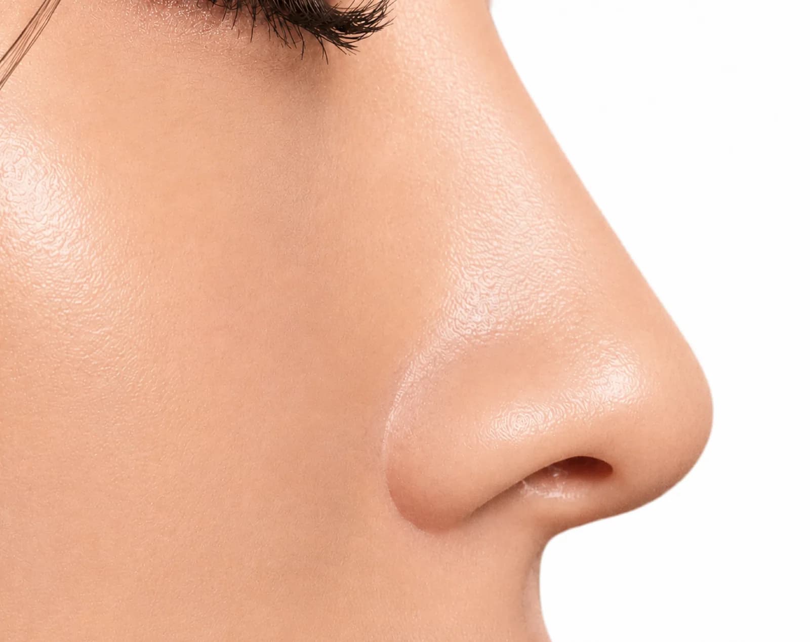 Undefined Nose anatomy and overview