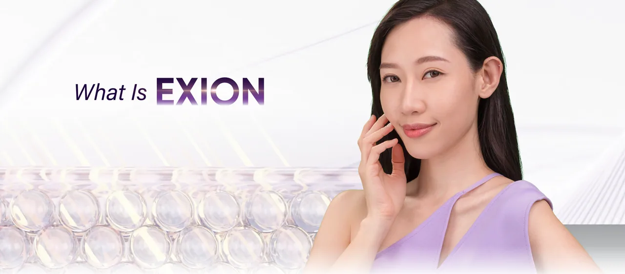 What is Exion