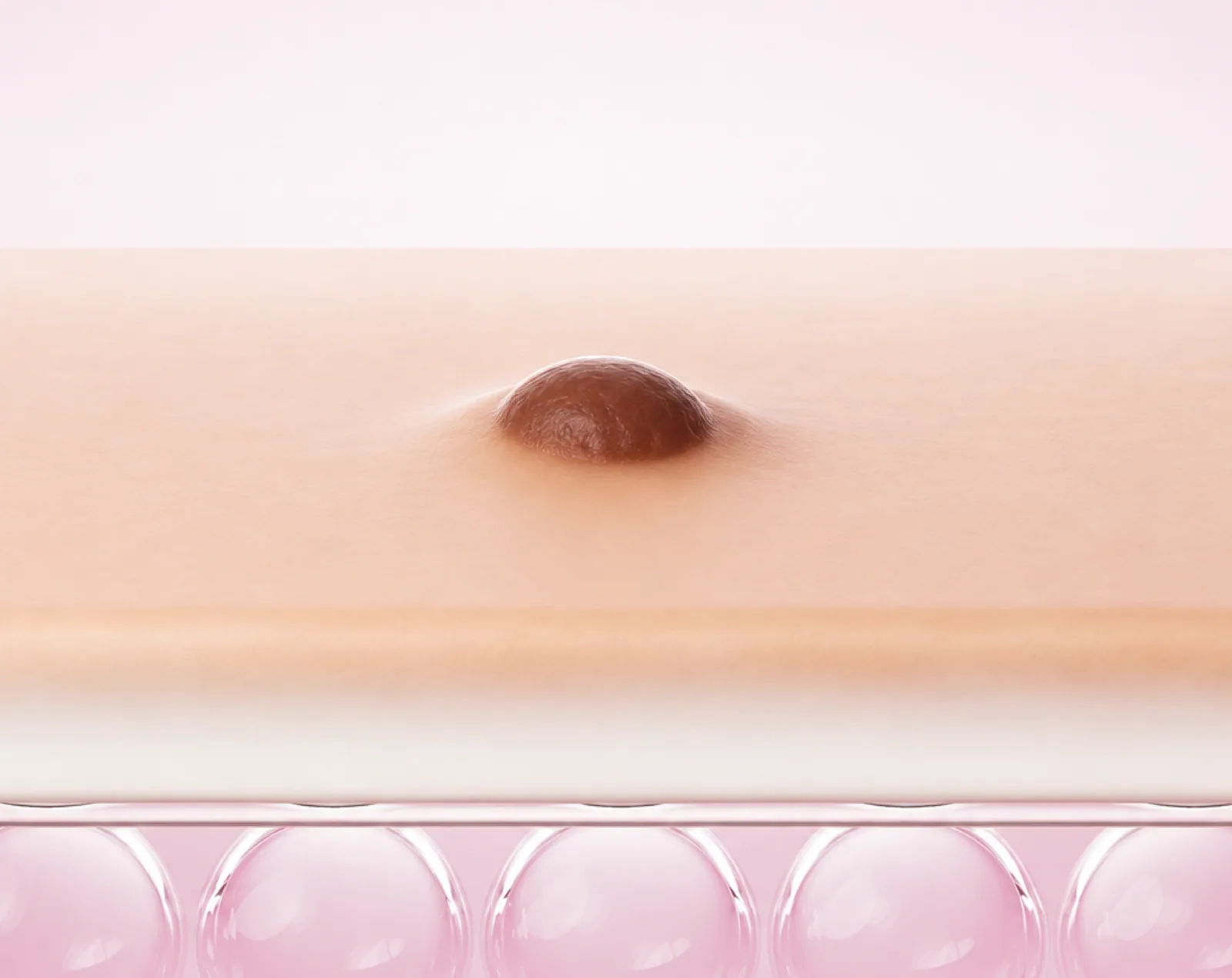 Mole anatomy and overview