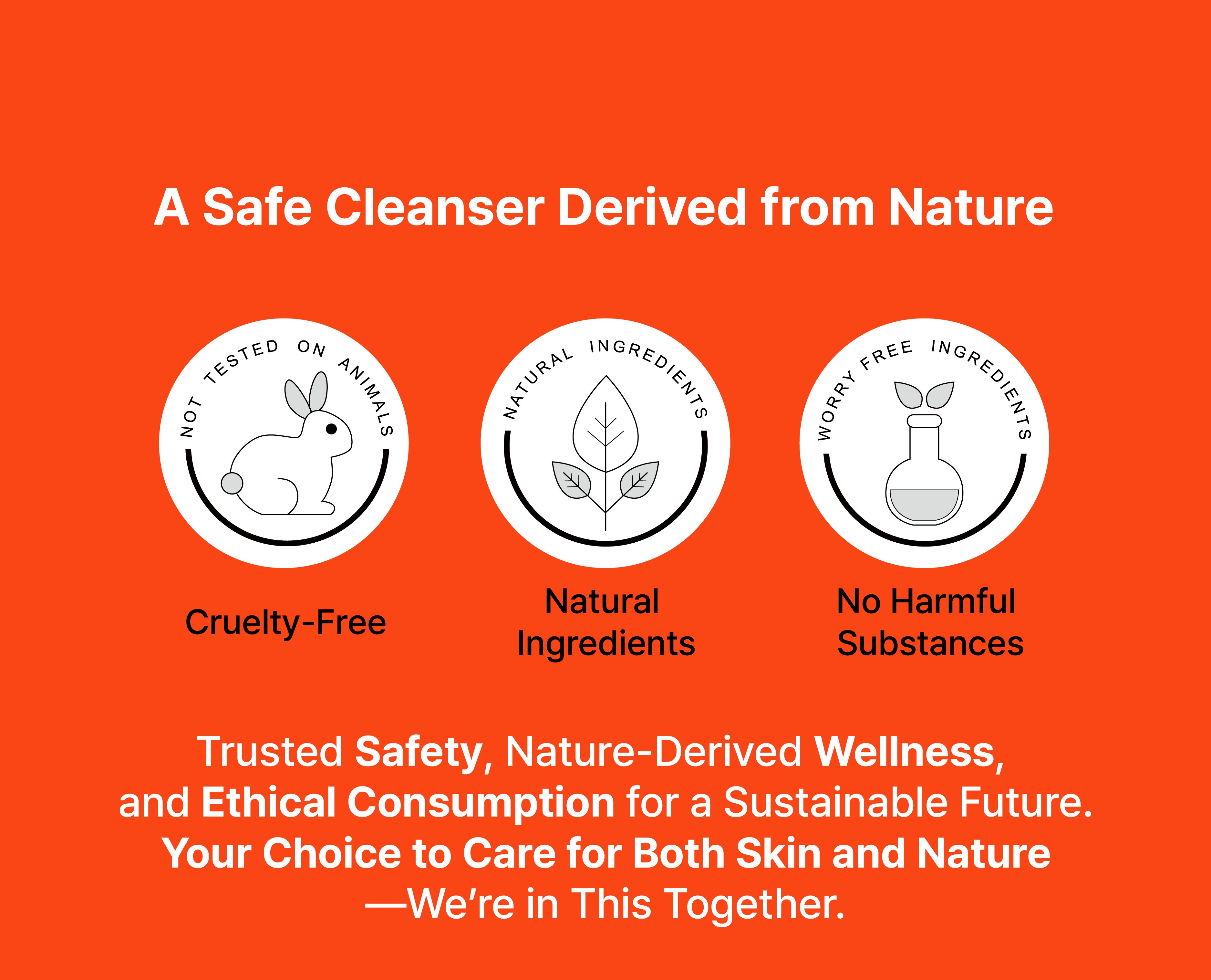 Creamy Foam Cleanser product image 2