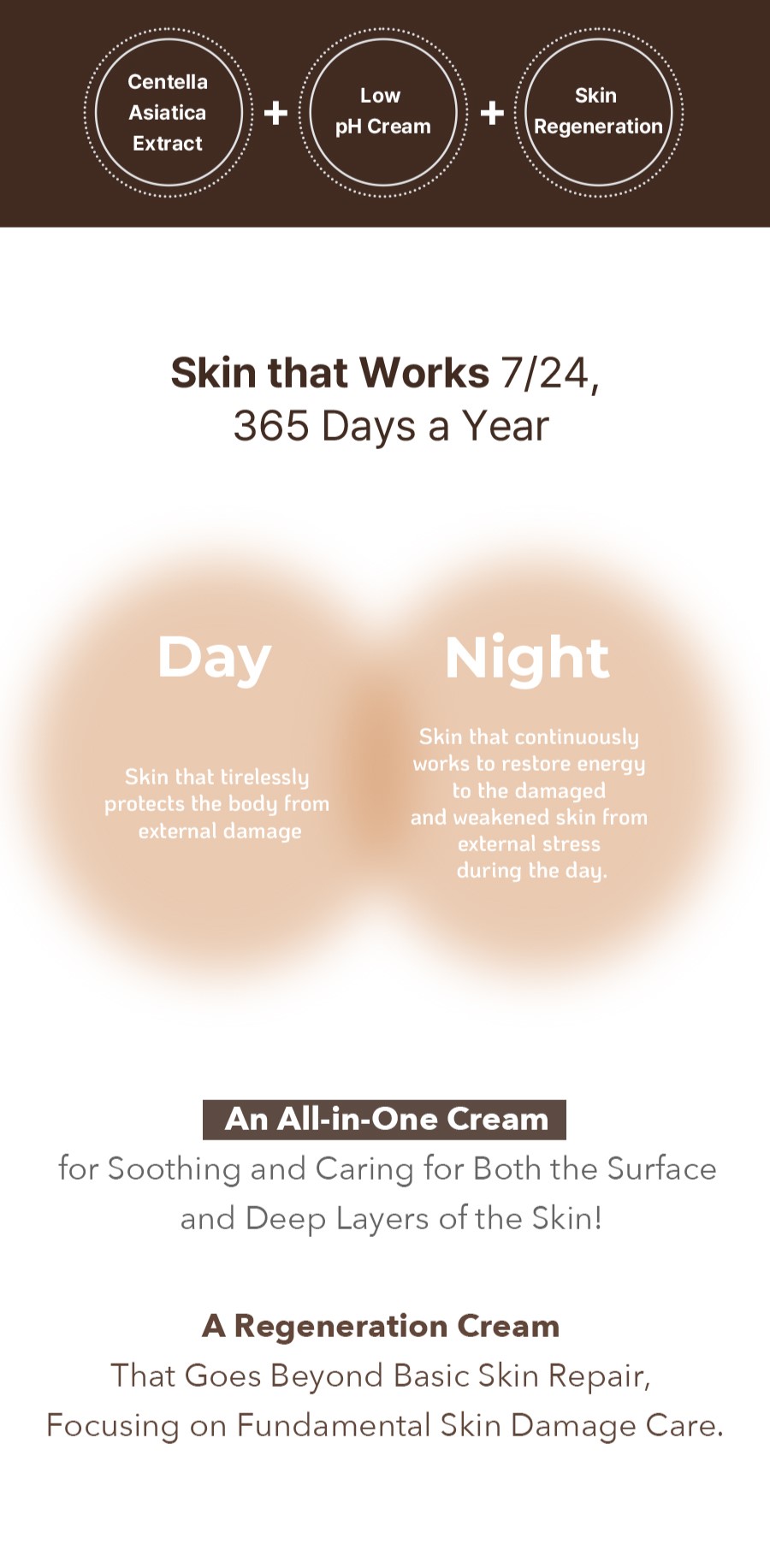 Intensive Regeneration Cream product image 2